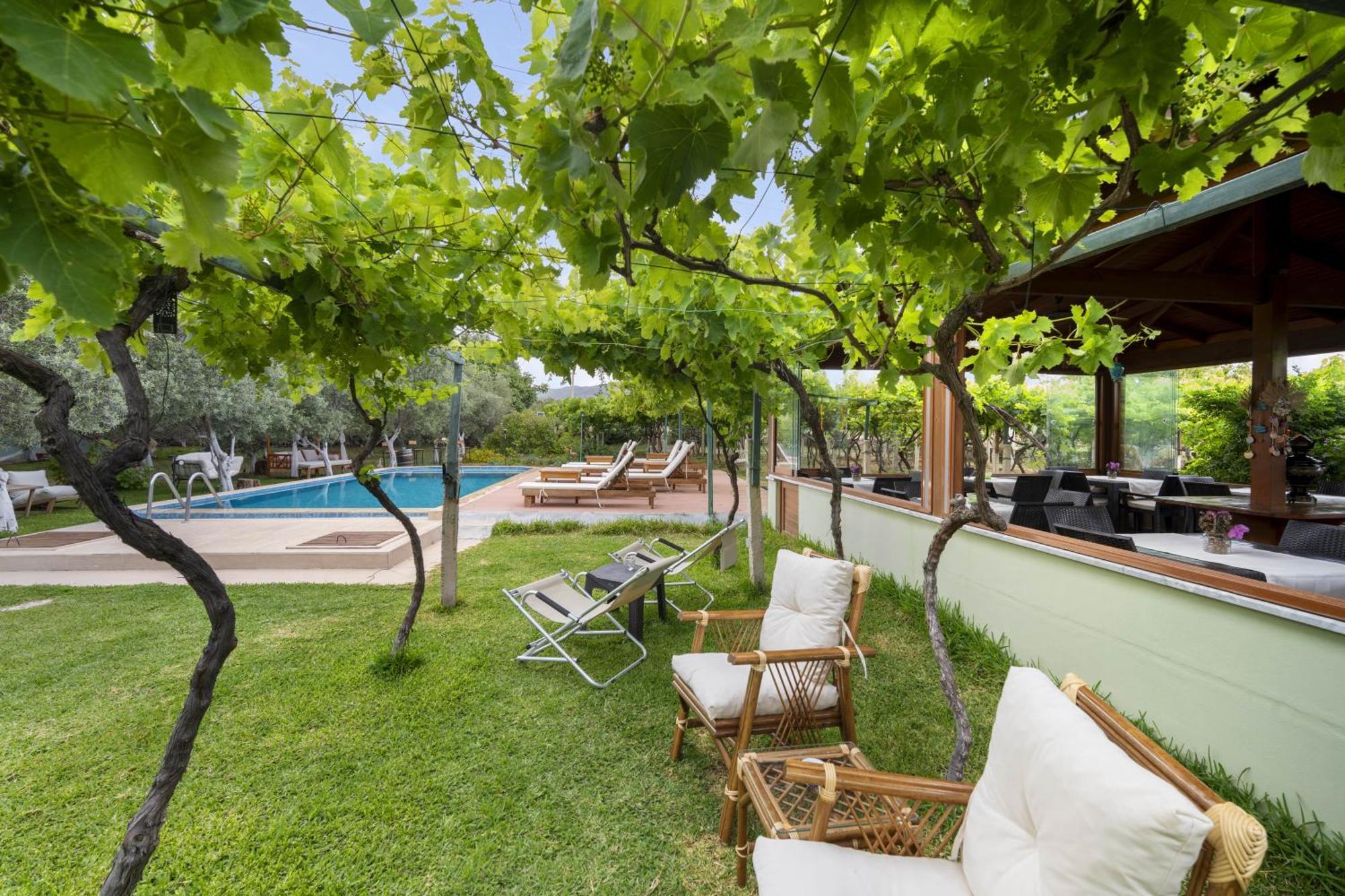 Grape Datca Hotel Kizlan Luaran gambar